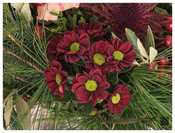 Santini - Chrysanthemen - Detail