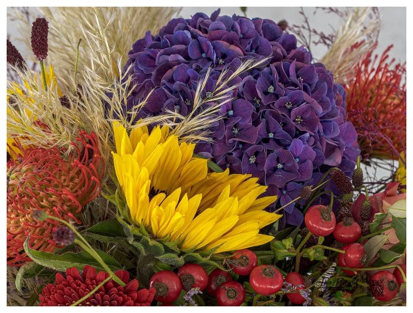 Hortensien, Sonnenblumen, Rosen, Protea, Pampasgras, Santini, Statize, Rosenbutten, Wiesenknopf und Eichenblättern im Detail