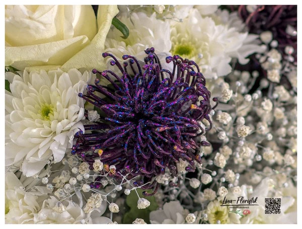 Lila Protea und Chrysanthemen im Detail