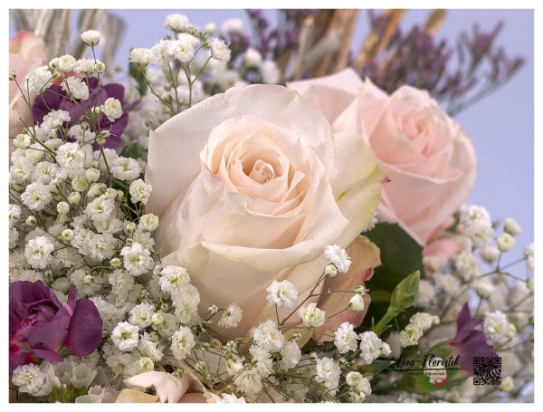 Trossnelke, Schleierkraut und Rosen im Detail