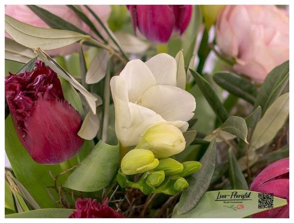 Freesien und Tulpen im Detail