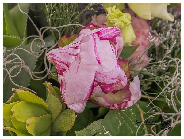 Pfingstrose vor Lisianthus im Detail