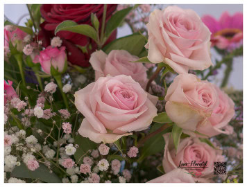 Rosa Rösschen vor weißem und rosa Schleierkraut