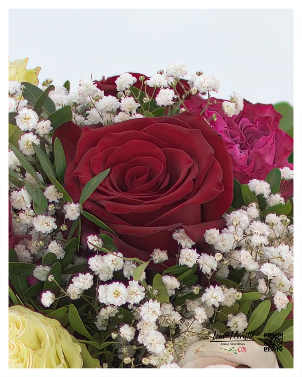 Elegante Ecuador Rose Explorer