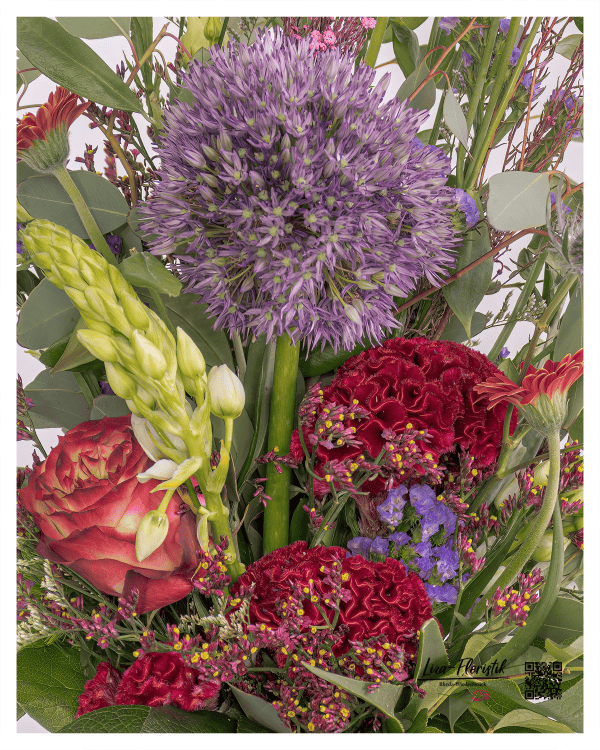 Statice, Allium und Celosia im Detail