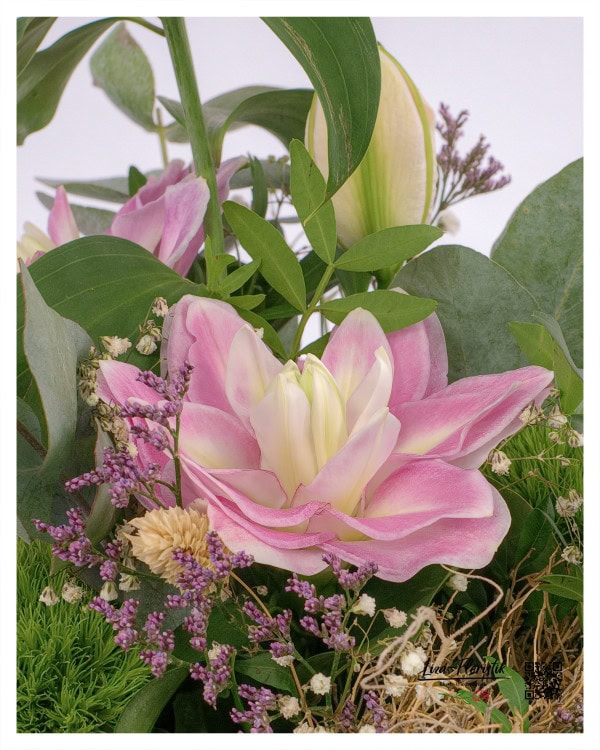 Wunderschöne pinkfarbene Lilie, umgeben von zarten Akzenten in Violett und Grün.