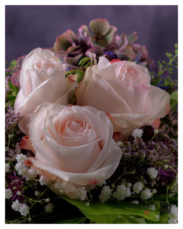 Ecuador Rosen vor Hortensien und weißem Schleierkraut im Detail