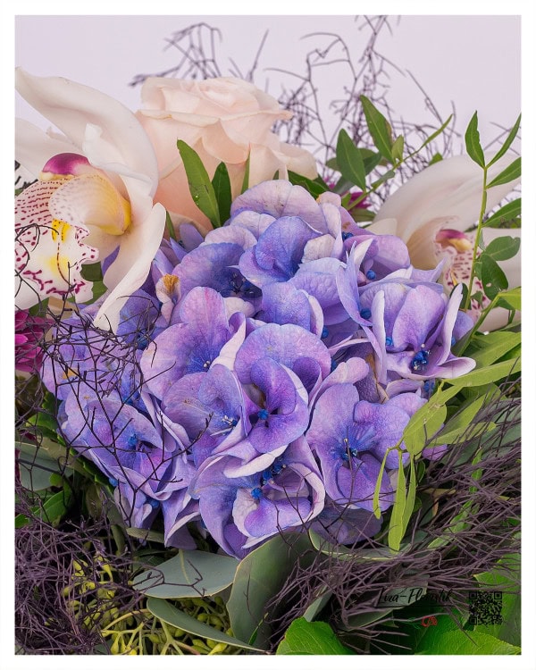 Detailansicht einer Hortensie