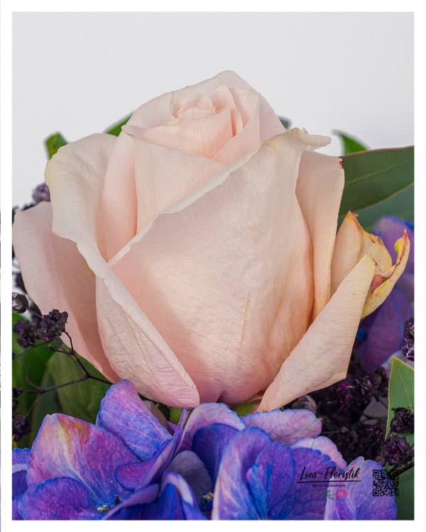 Sanfte Eleganz in Rosé Die zart roséfarbene Rose strahlt Ruhe und Anmut aus und bildet einen wunderschönen Kontrast zur kräftigen violetten Hortensie. Die feinen Blütenblätter sind makellos und verleihen dem Strauß eine sanfte, romantische Note. Dieses Detail zeigt die Qualität und Liebe zum Detail, mit der jeder Strauß von Liza-Floristik gebunden wird – perfekt für besondere Anlässe oder als zarte Liebeserklärung.