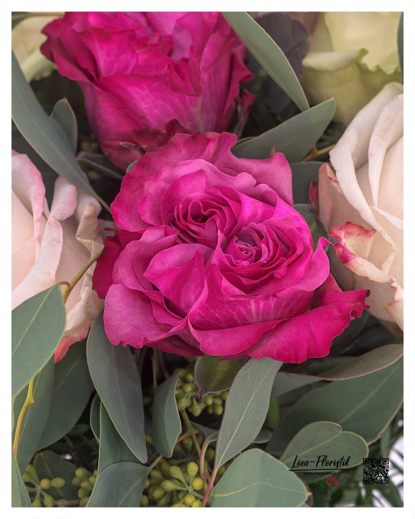 Detailaufnahme einer Ecuador-Rose - Nahaufnahme einer prachtvollen Ecuador-Rose in intensiven Pinktönen, eingerahmt von zartem Eukalyptusgrün. Die feine Struktur und Farbintensität der Blütenblätter machen diese Rose zu einem echten Blickfang und verleihen jedem Arrangement das gewisse Etwas.