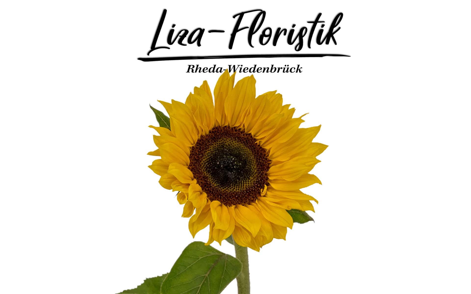 Dein kostenloser Blumen Lieferservice für Rheda-Wiedenbrück, Gütersloh und Umgebung